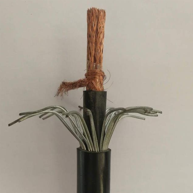 低烟无卤控制电缆WDZ-KYJV33