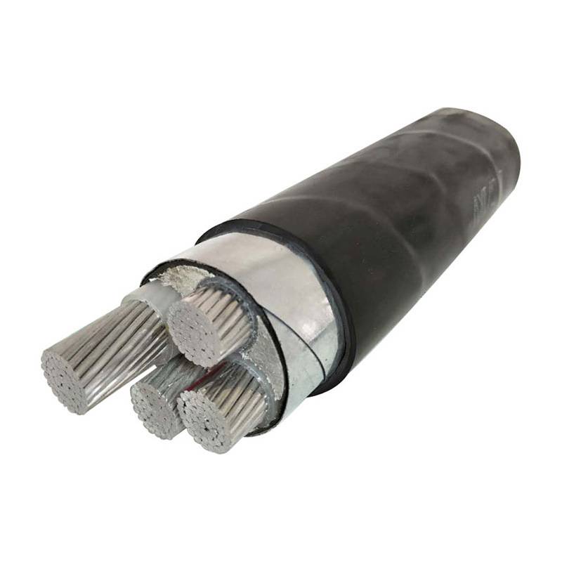 ZR-YGVHD22 阻燃铠装电缆